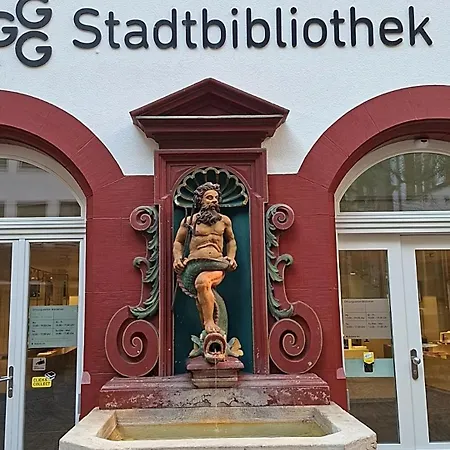 T1 Hyper Centre Saint-louis 